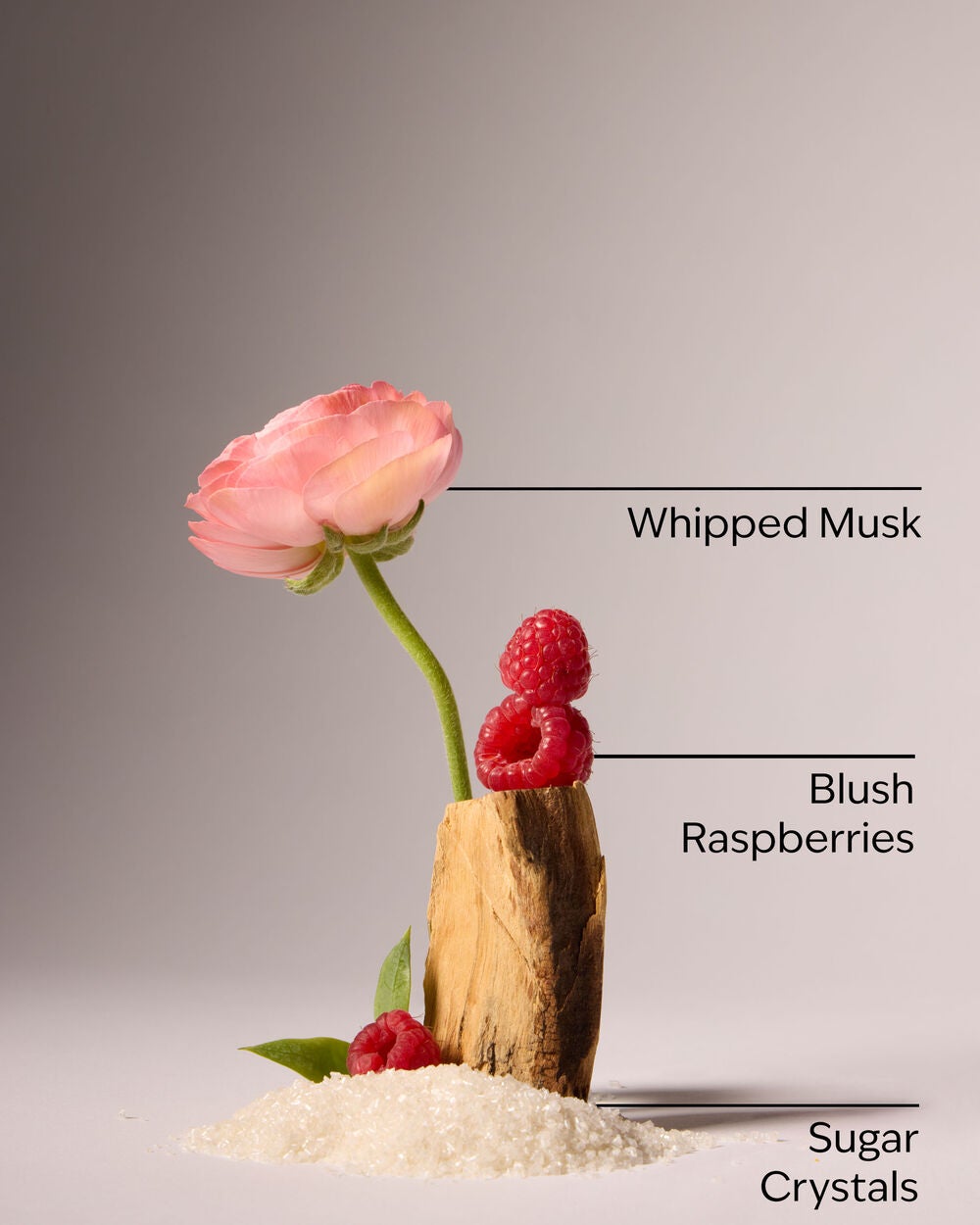 Sweetest Song Gift Set - Image 3