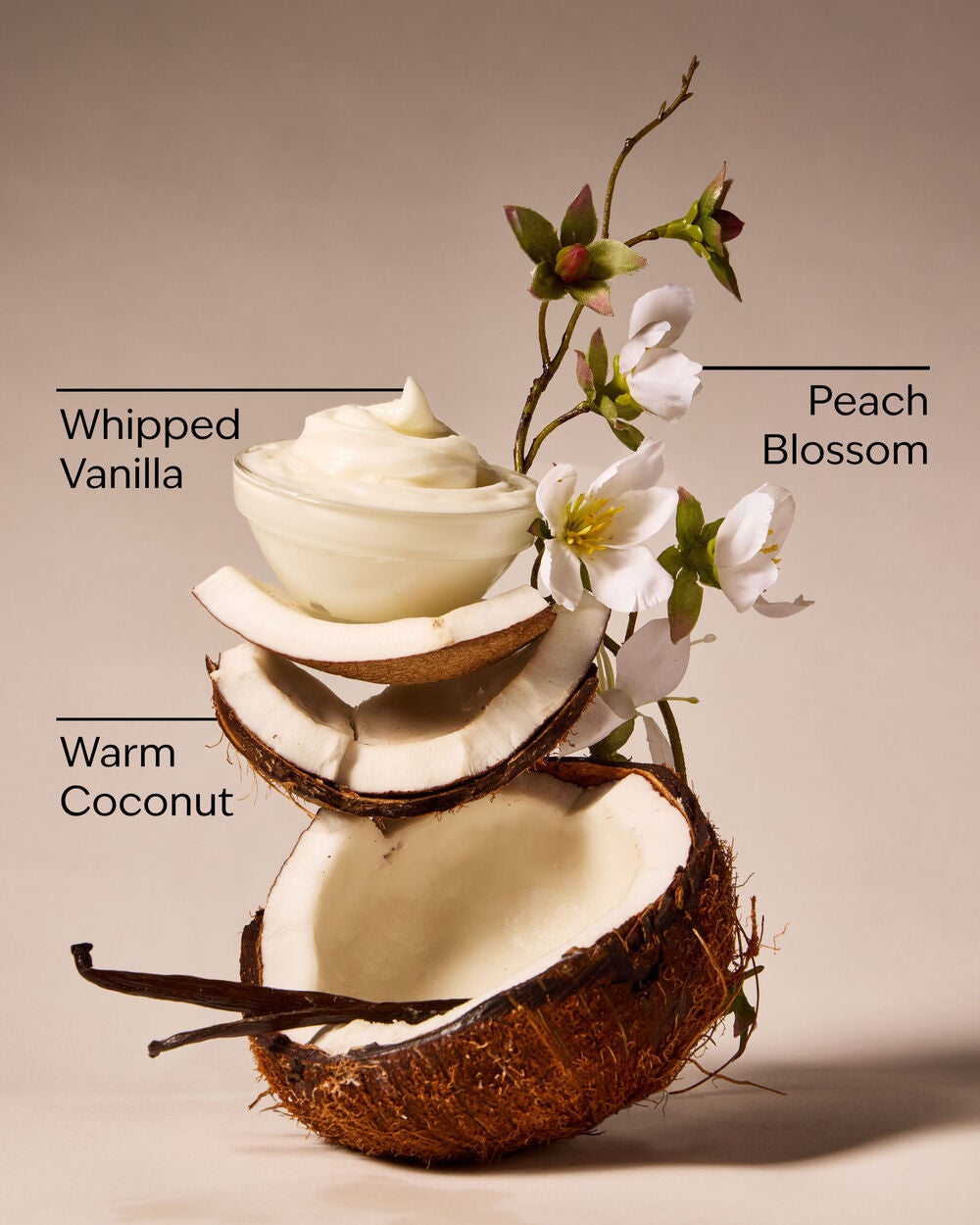 Vanilla Coconut Wallflowers Refills 2-Pack - Image 3