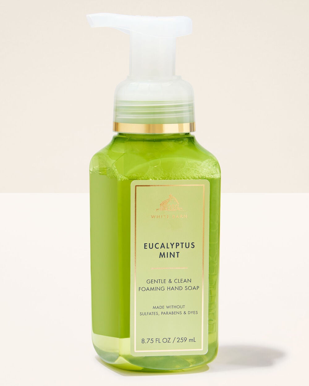 Eucalyptus Mint Gentle & Clean Foaming Hand Soap