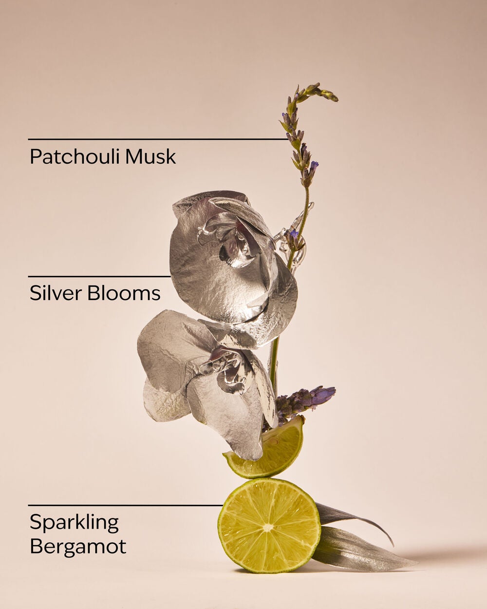 Platinum Body Wash - Image 3