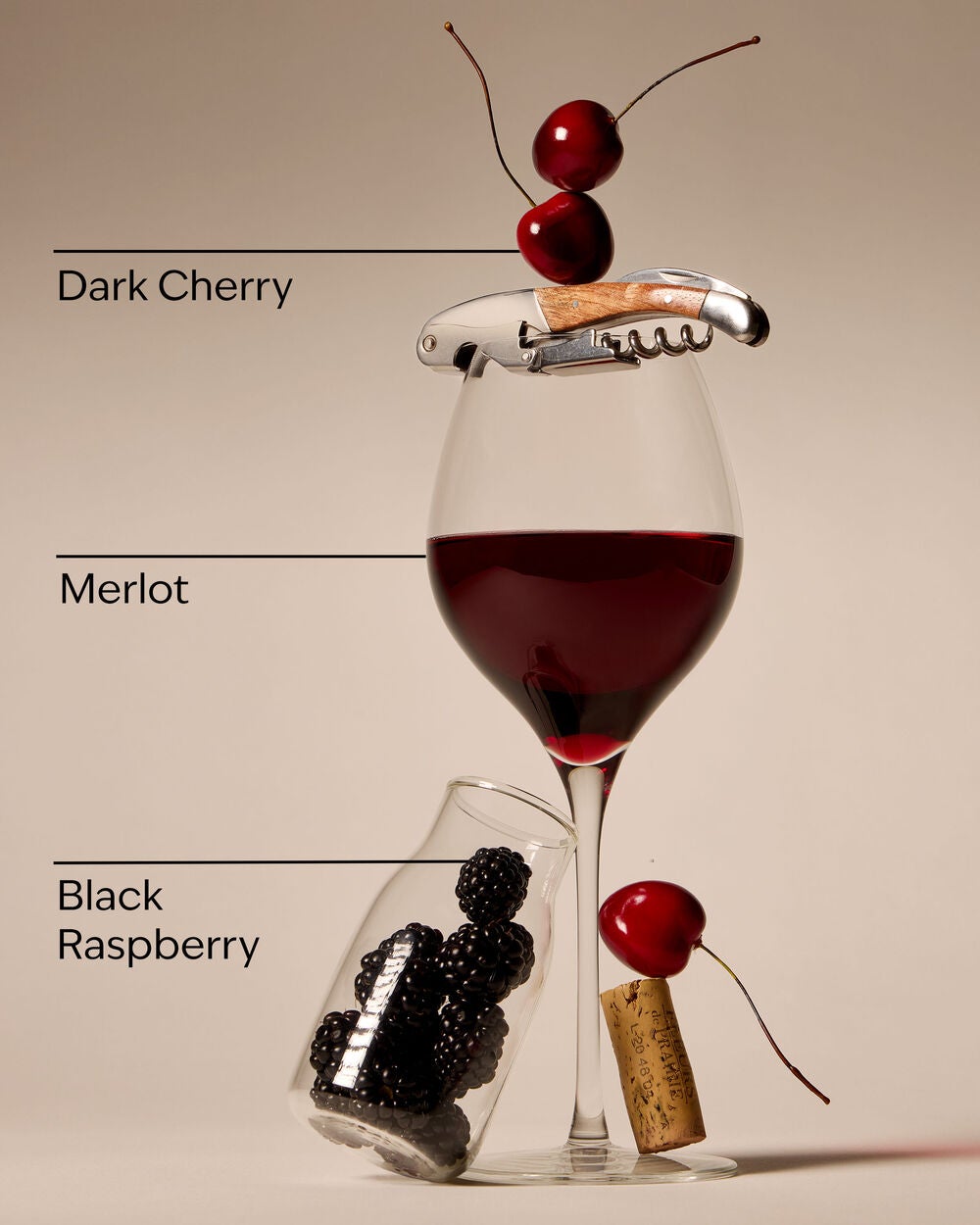 Black Cherry Merlot Wallflowers Refills 2-Pack - Image 3