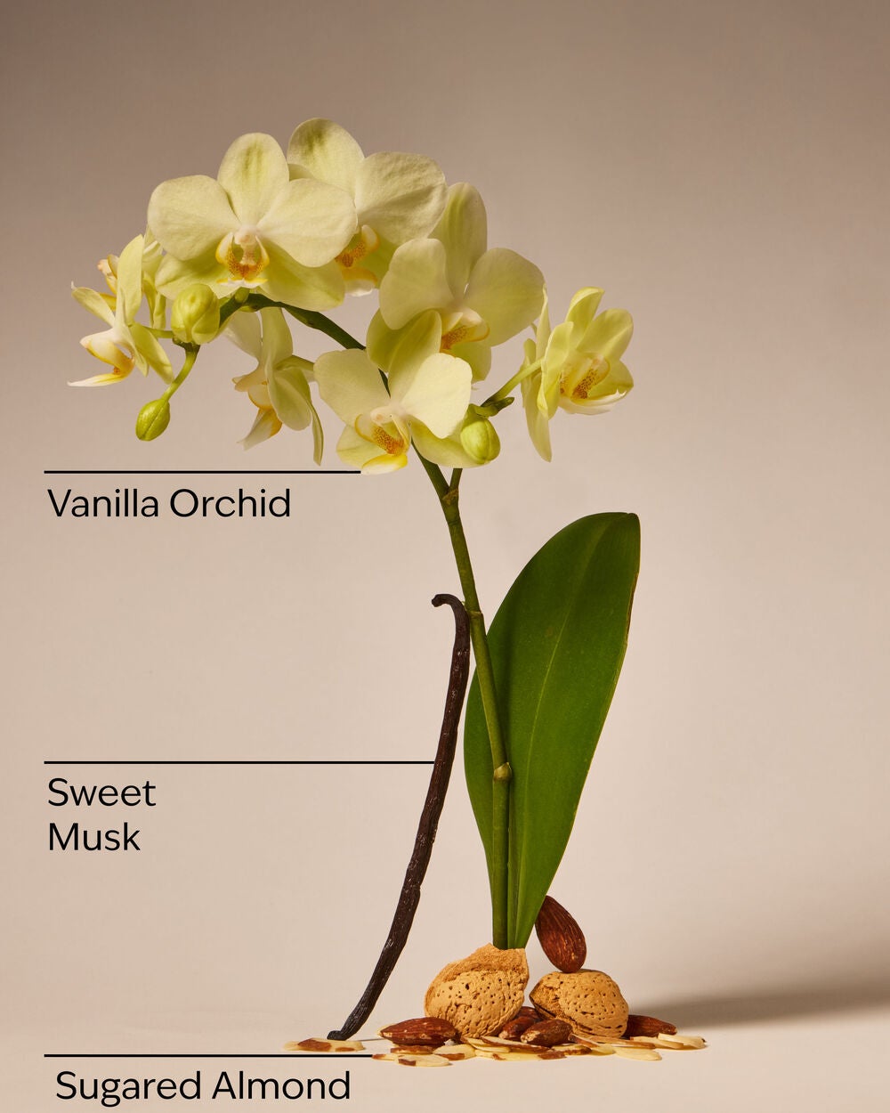 Cozy Vanilla Almond PocketBac Hand Sanitizer - Image 3