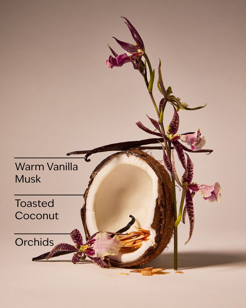 Tiki Beach Car Fragrance Refill - Image 3