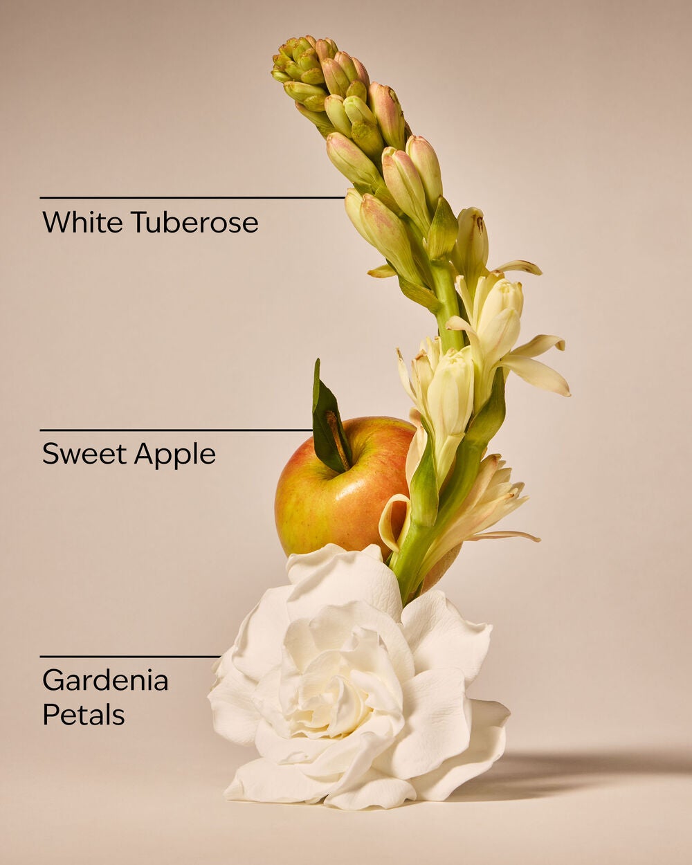 White Gardenia Wallflowers Fragrance Refill - Image 3