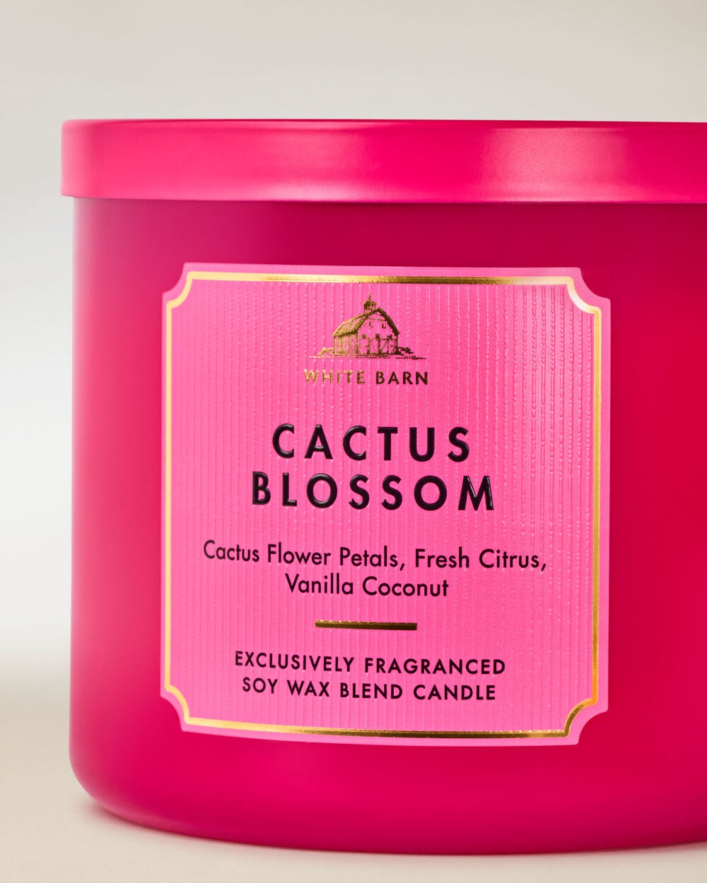 Cactus Blossom 3-Wick Candle - Image 2