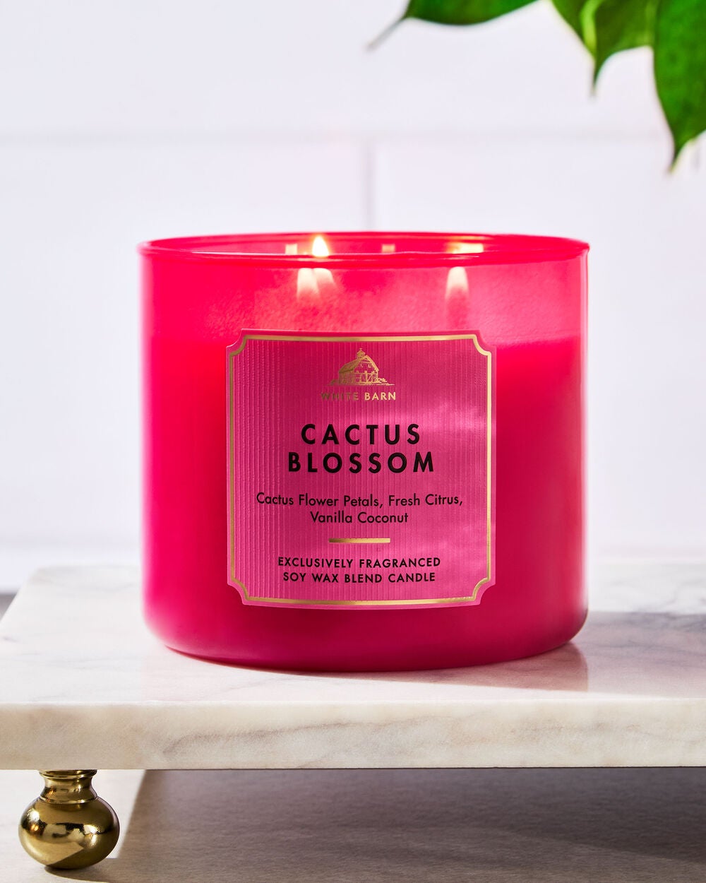 Cactus Blossom 3-Wick Candle - Image 6