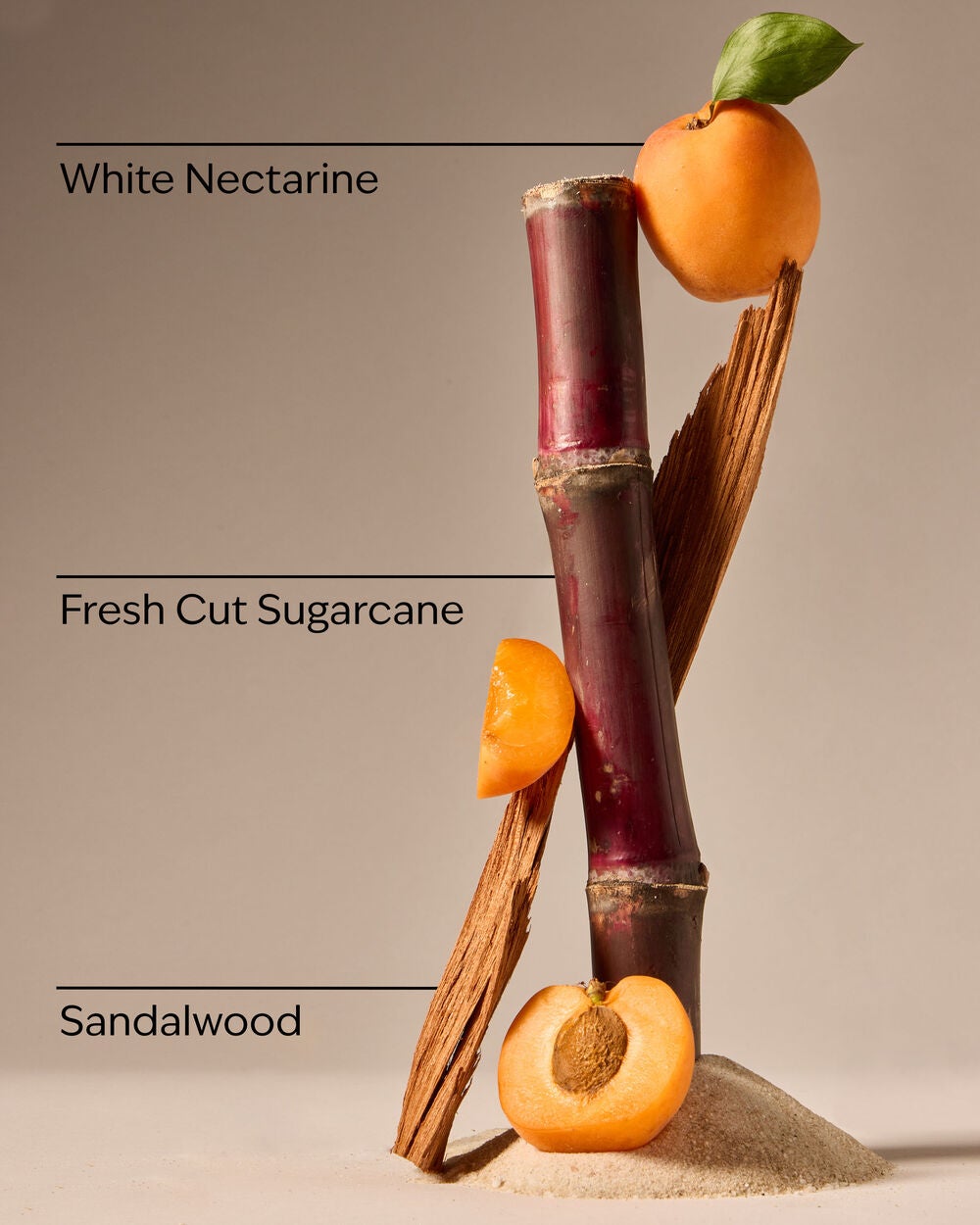 Fiji White Sands Car Fragrance Refill - Image 3