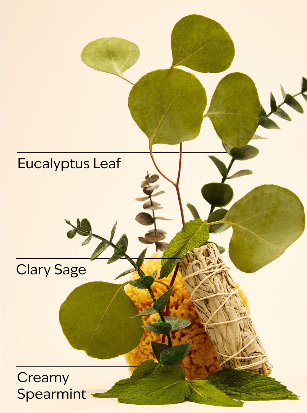 Eucalyptus Spearmint Gentle & Clean Foaming Hand Soap - Image 3