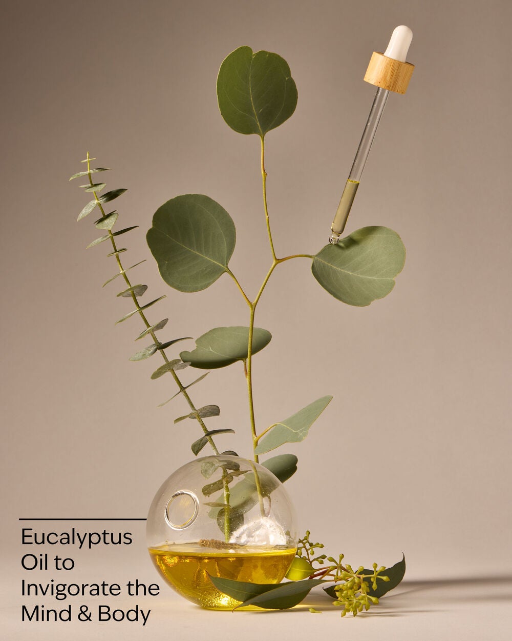 Eucalyptus Body Wash & Foam Bath - Image 3