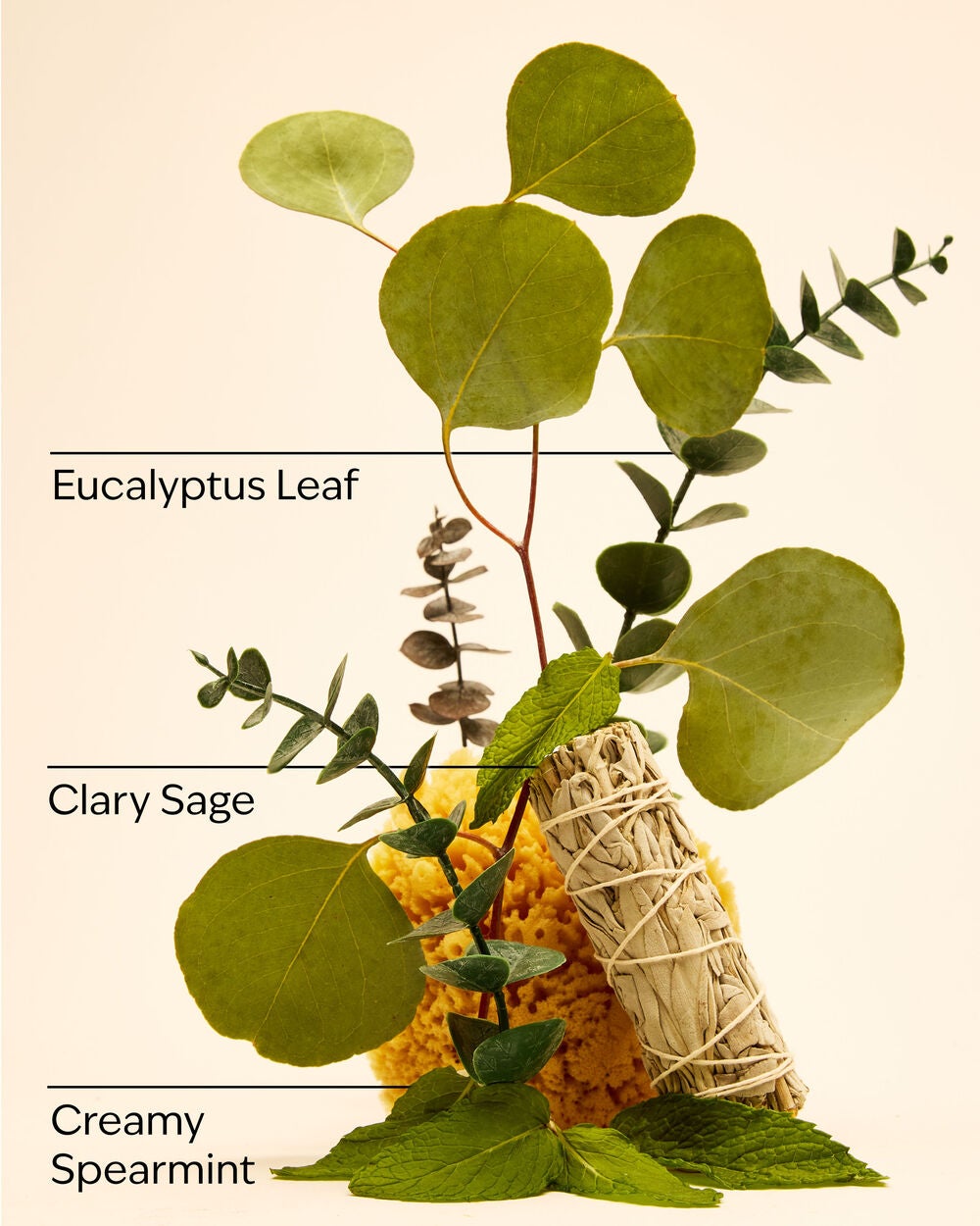 Eucalyptus Spearmint Travel Size Ultimate Hydration Body Cream - Image 3