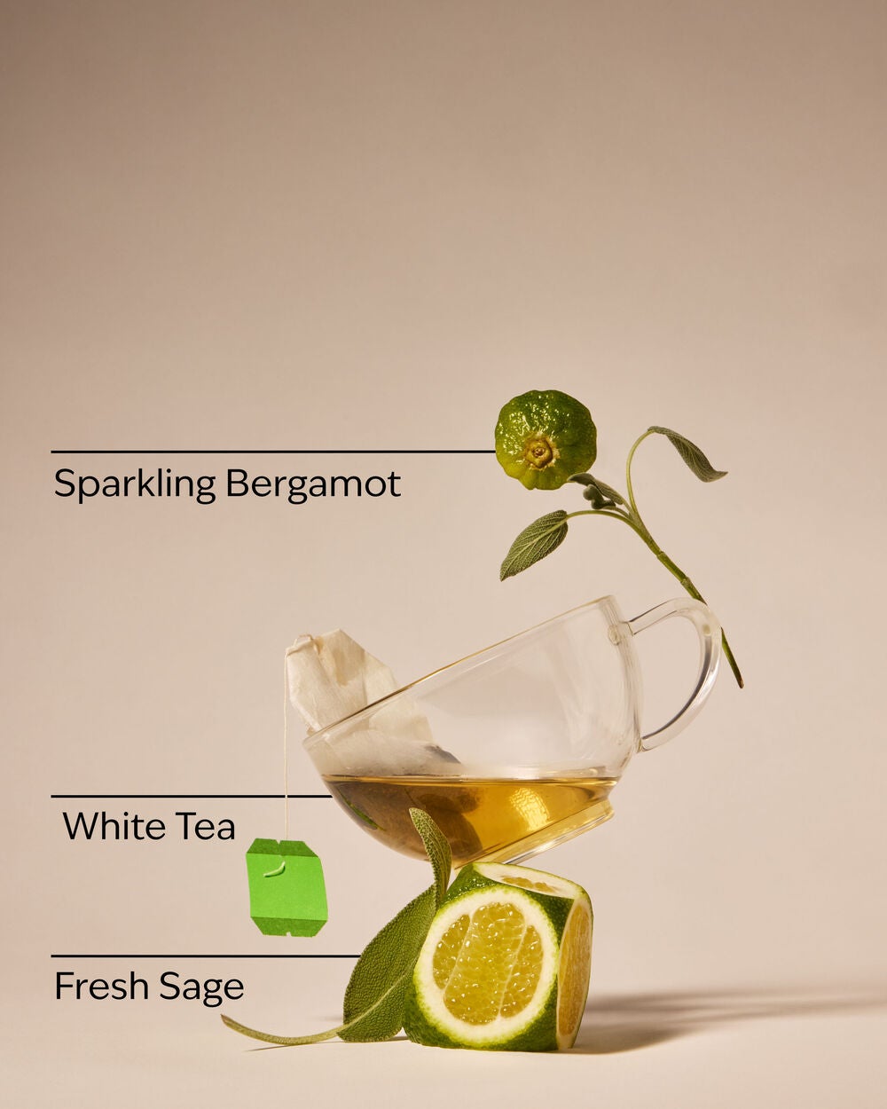 White Tea & Sage Concentrated Room Spray - Image 3