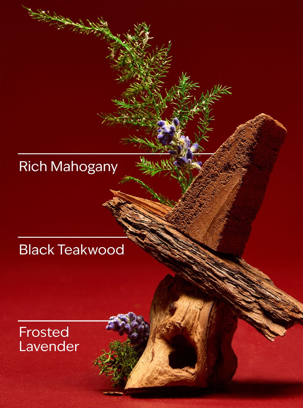 Mahogany Teakwood Intense 3-Wick Candle - Image 3