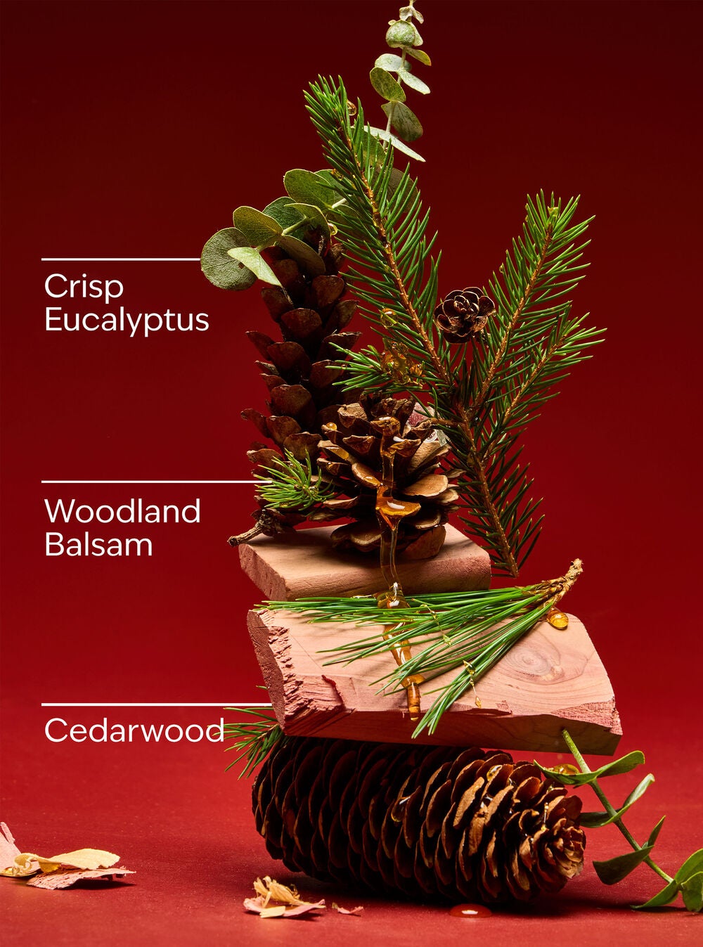 Fresh Balsam 3-Wick Candle - Image 3