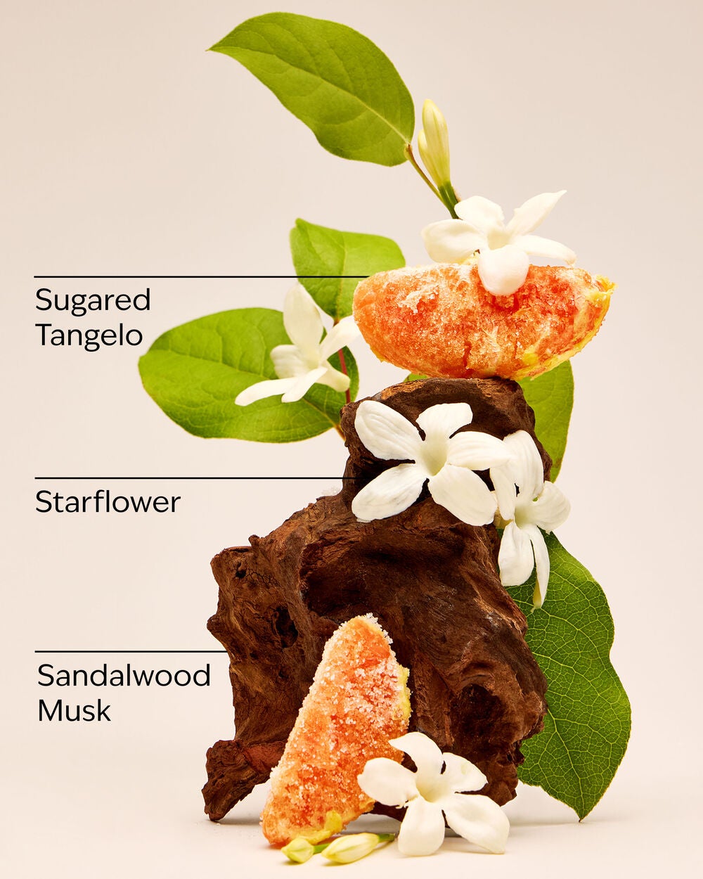 In the Stars Exfoliating Glow Body Scrub - Image 3