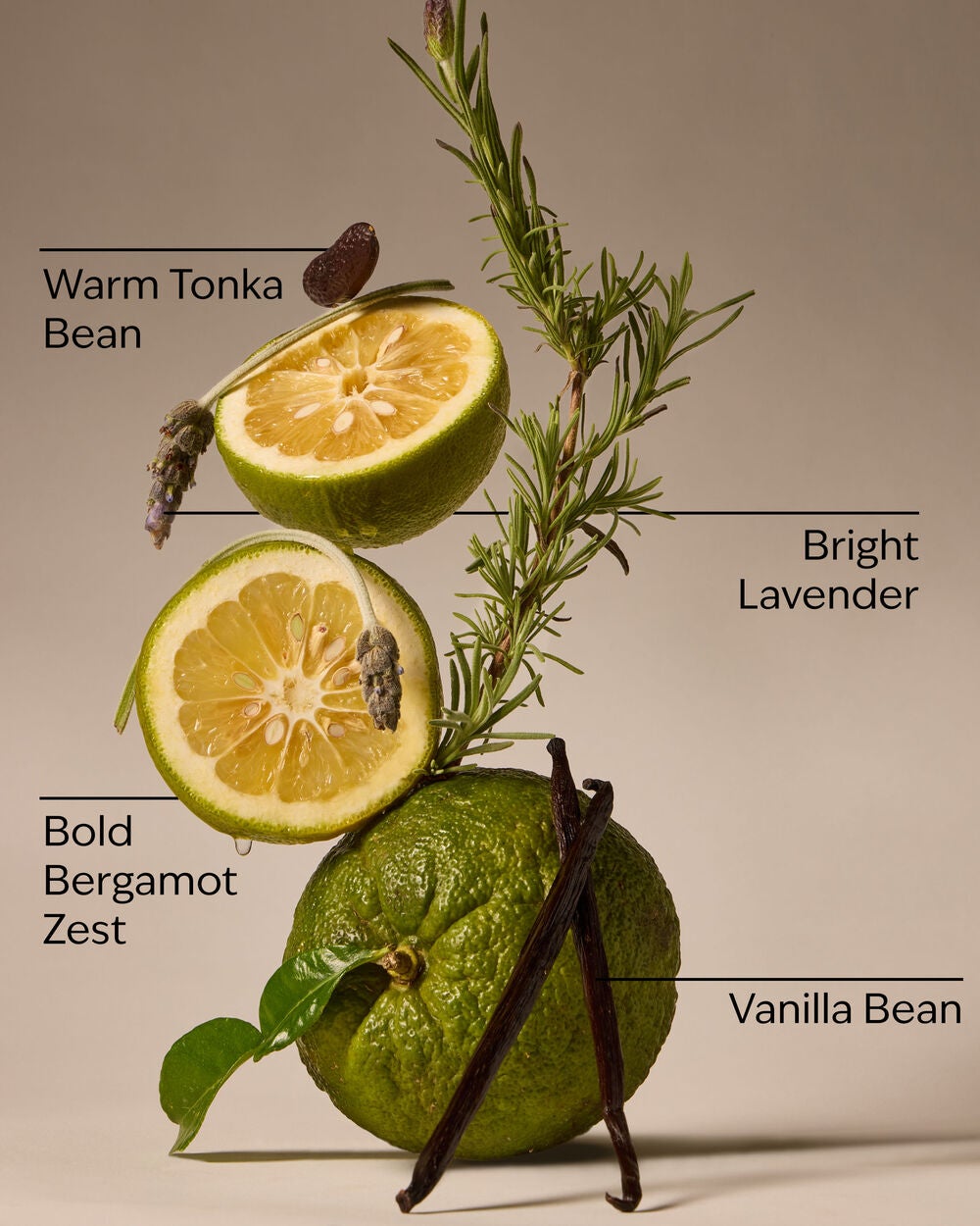 Lavender Bergamot Gentle & Clean Foaming Hand Soap - Image 3