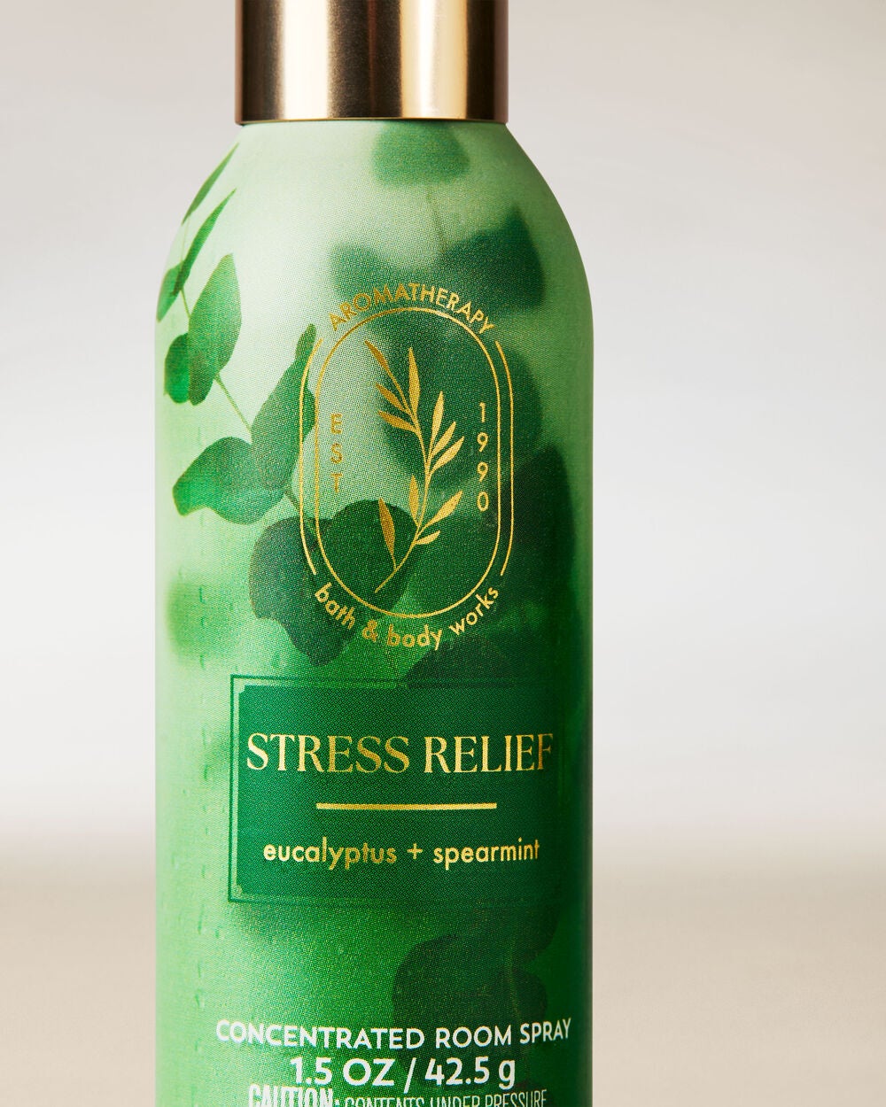 Eucalyptus Spearmint Concentrated Room Spray - Image 2