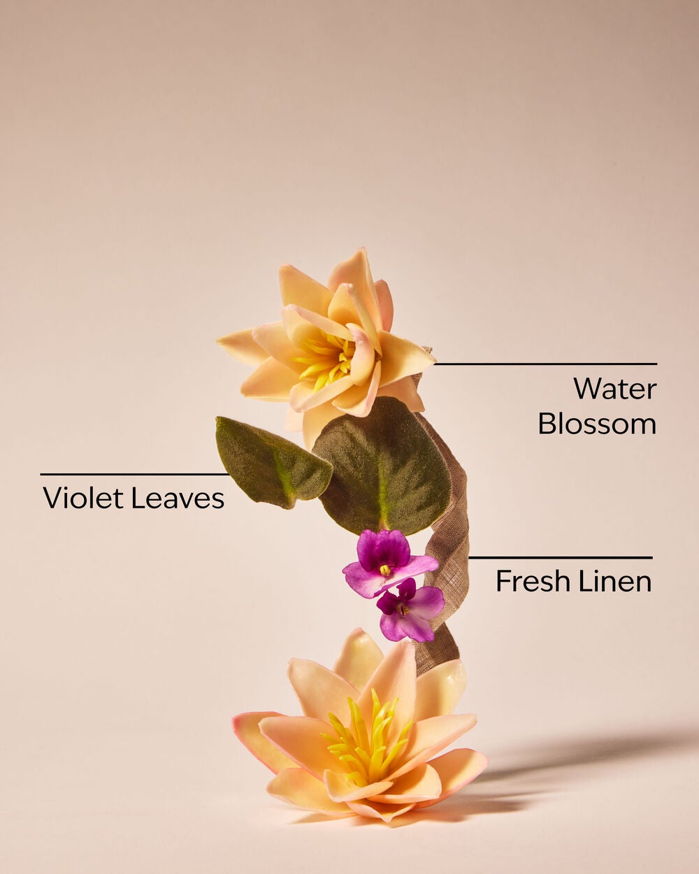 Saltwater Breeze Fine Fragrance Mist - Image 3