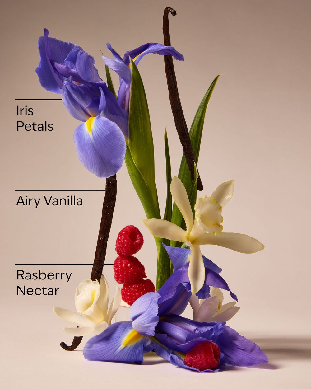Butterfly Body Wash - Image 3