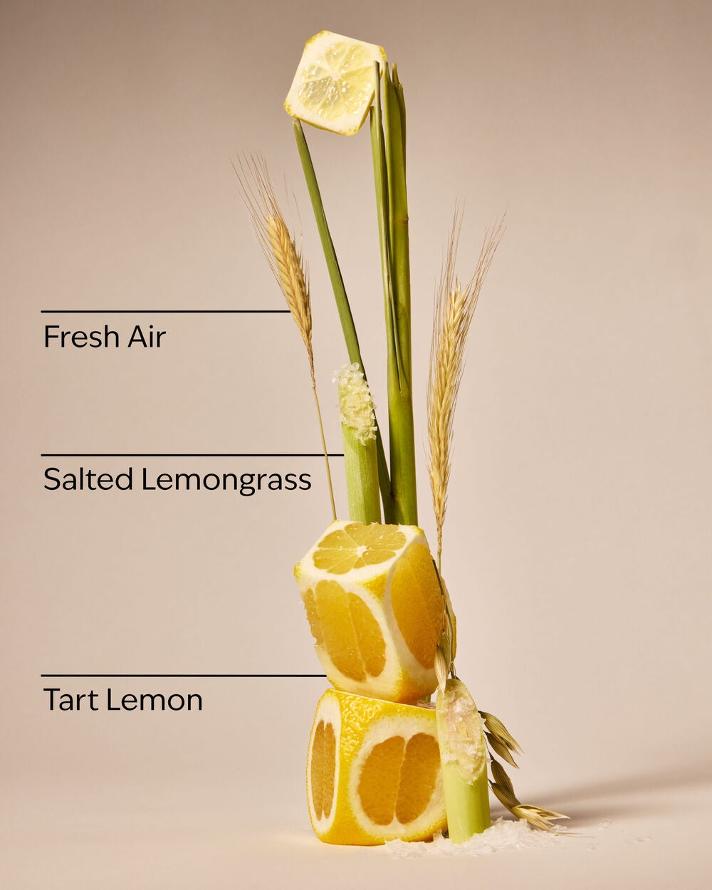 Laundry Room Lemon Gentle & Clean Foaming Hand Soap - Image 3
