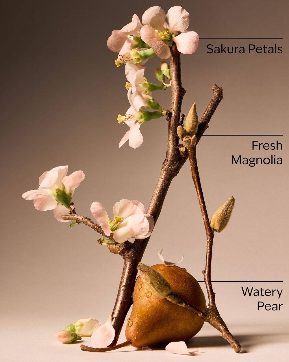 Forever Cherry Blossom Fine Fragrance Mist - Image 3