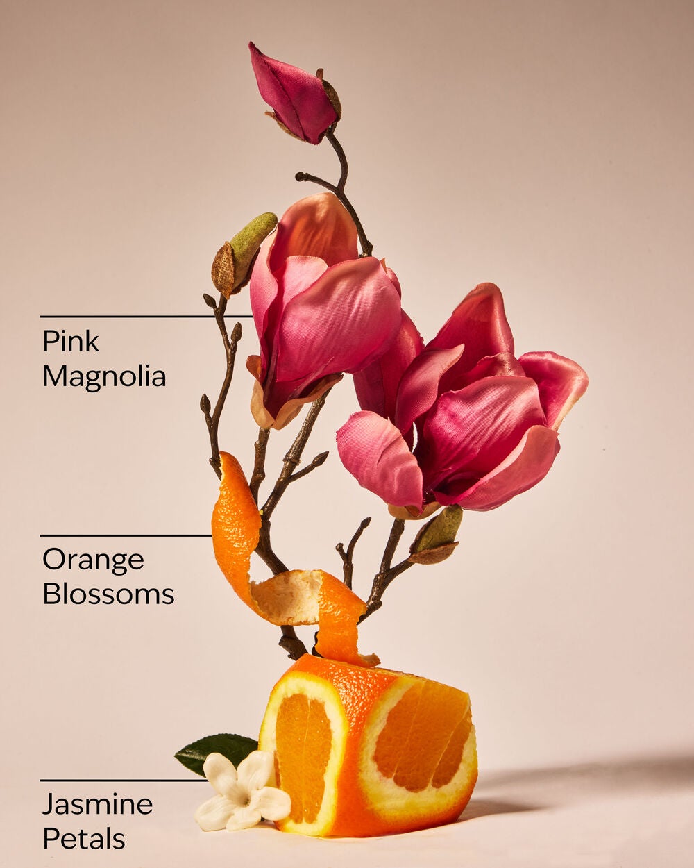 Pink Petal Confetti Wallflowers Fragrance Refill - Image 3