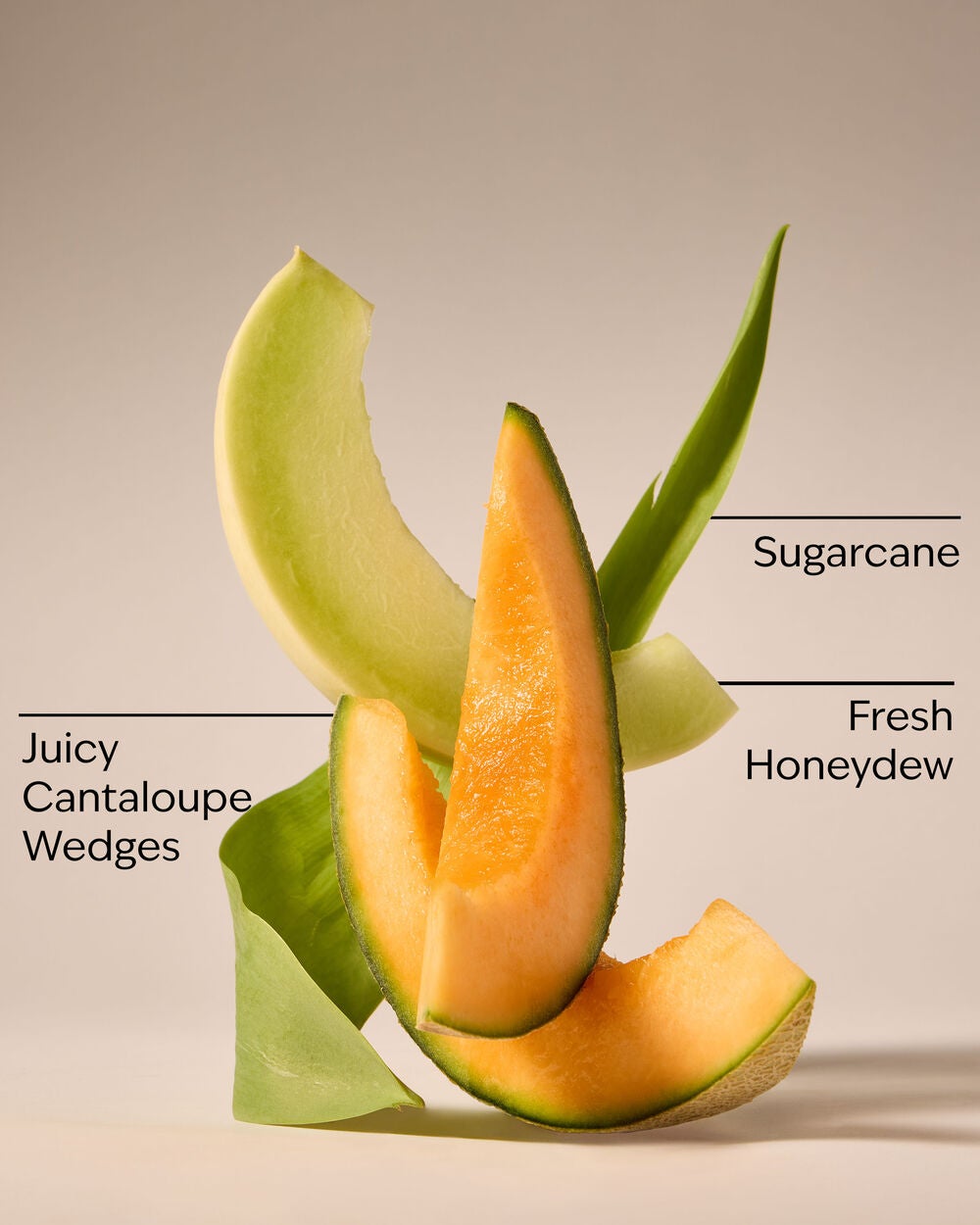 Melon Slice Wallflowers Fragrance Refill - Image 3
