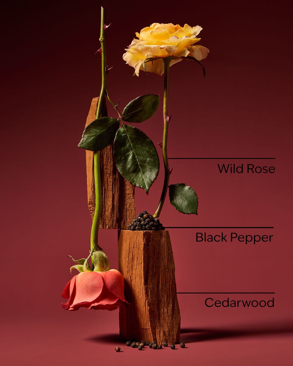 Nocturnal Rose Wallflowers Fragrance Refill - Image 3