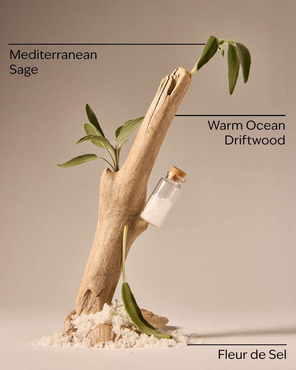 Sea Salt & Driftwood Wallflowers Fragrance Refill - Image 3