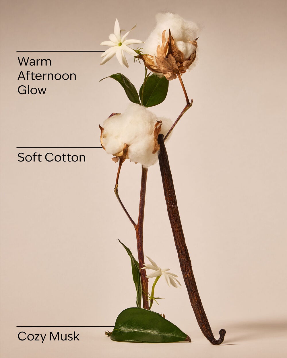 Cat Nap Wallflowers Fragrance Refill - Image 3