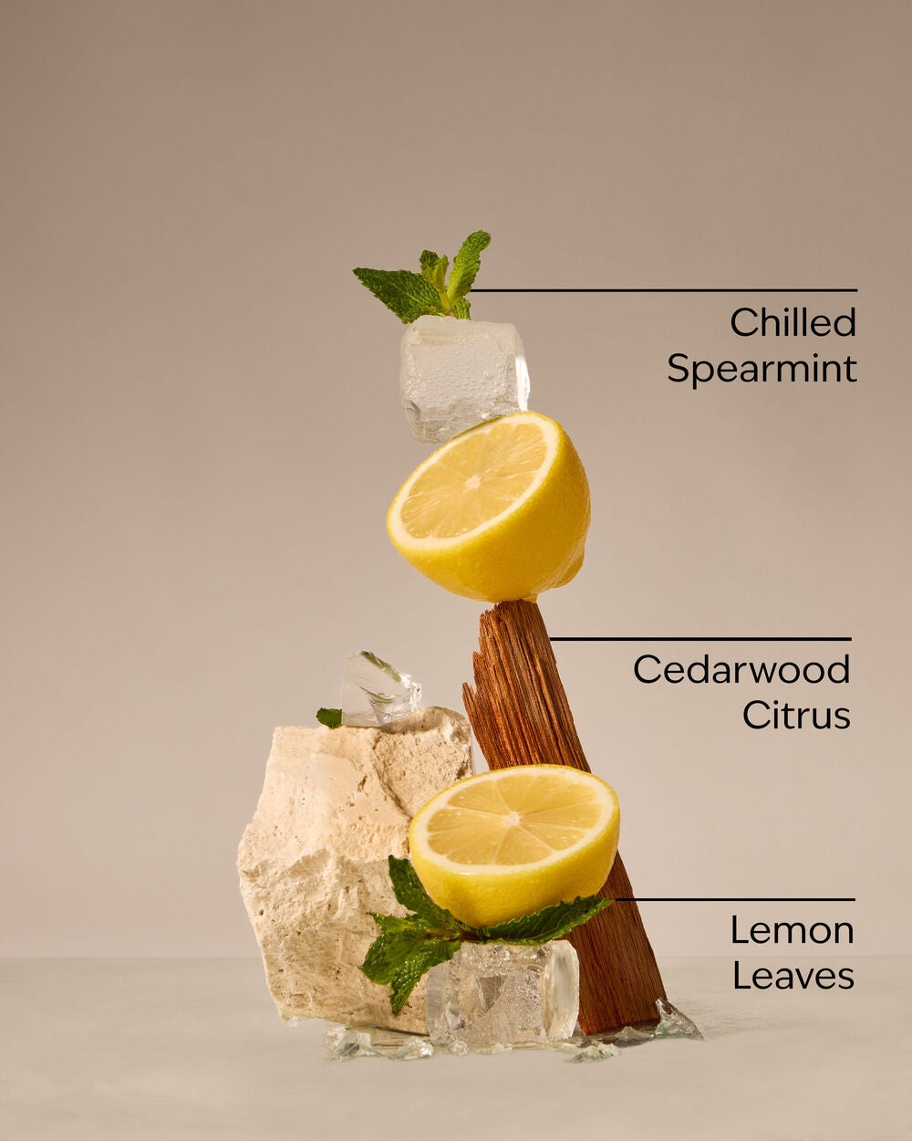 Fresh Amalfi Lemon Wallflowers Refills 2-Pack - Image 3