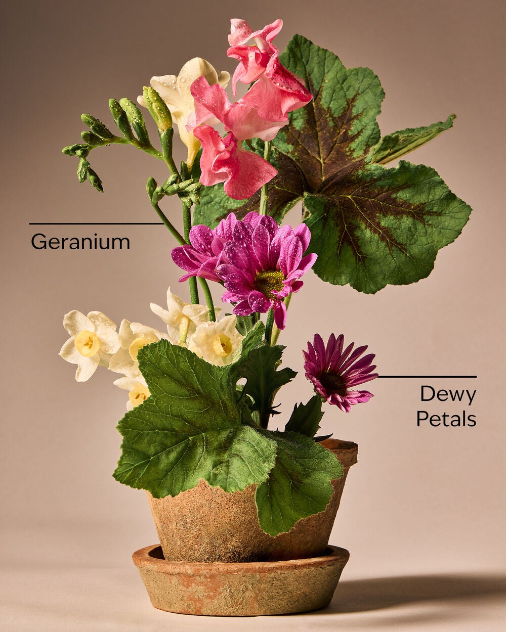 Springtime Greenhouse Gentle & Clean Foaming Hand Soap - Image 3