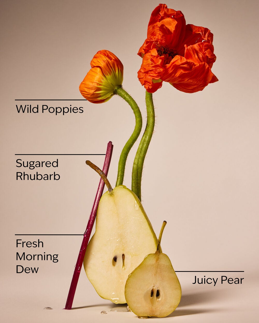 Poppy By Bath & Body Works Cleansing Gel Hand Soap - Image 3