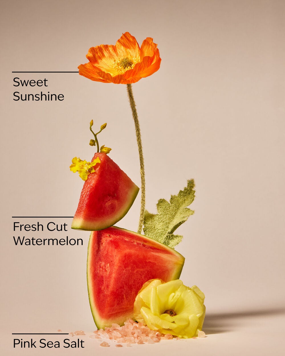 Fresh Watermelon Revitalizing Gel Hand Soap - Image 3