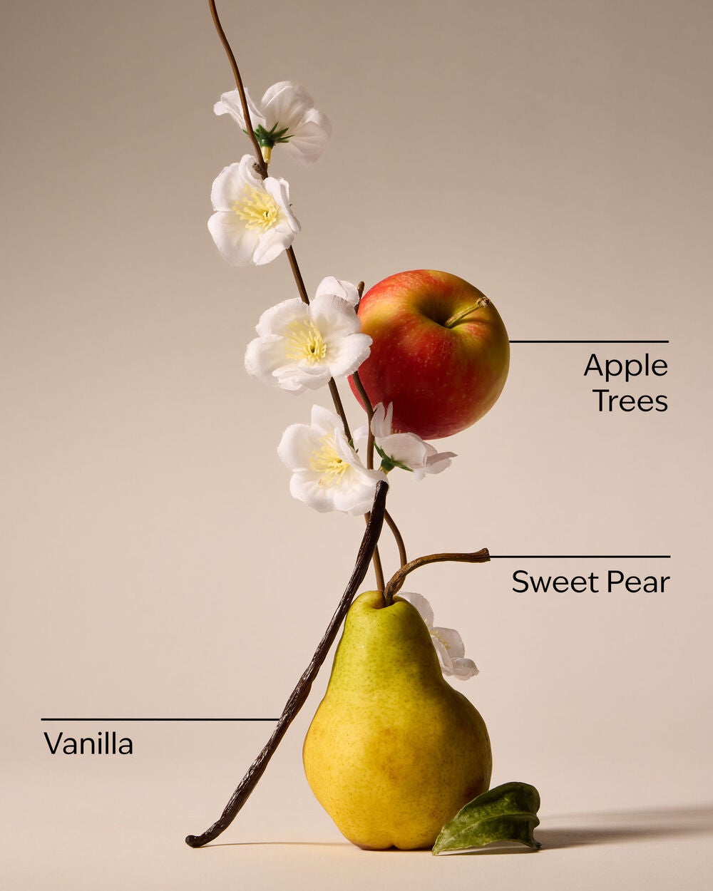 Spring Apple Car Fragrance Refill - Image 3